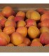 Caja de Albaricoques
