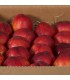 Caja de Nectarinas