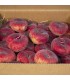 Caja de Paraguayos